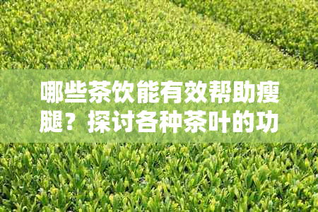 哪些茶饮能有效帮助瘦腿？探讨各种茶叶的功效和适用场景