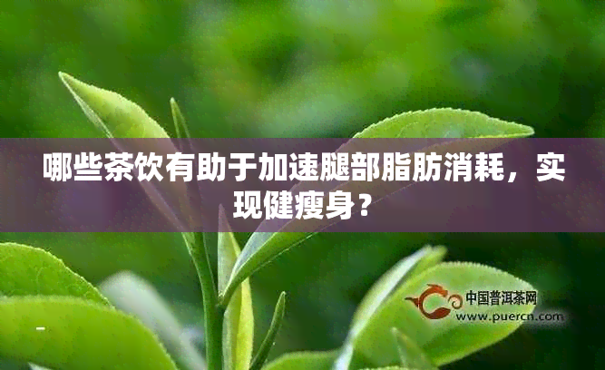 哪些茶饮有助于加速腿部脂肪消耗，实现健瘦身？