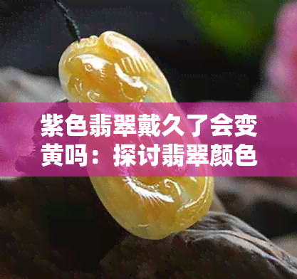 紫色翡翠戴久了会变黄吗：探讨翡翠颜色变化与长期佩戴的关系