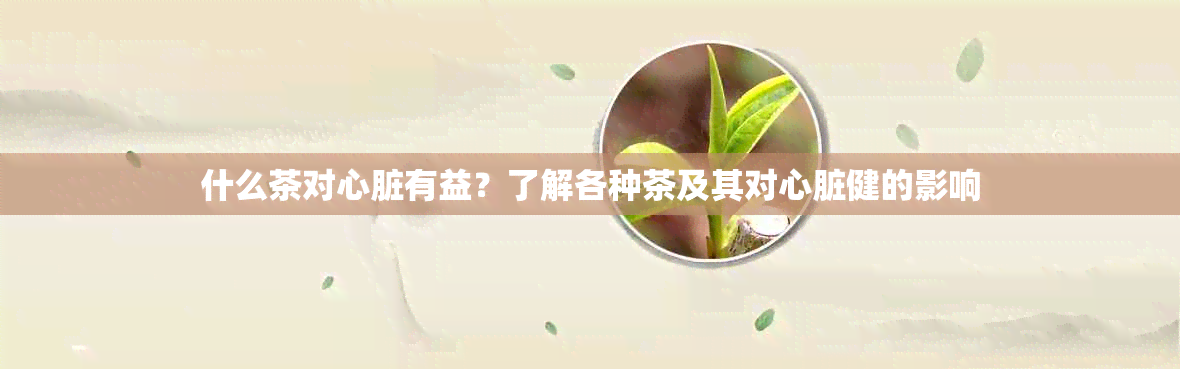 什么茶对心脏有益？了解各种茶及其对心脏健的影响