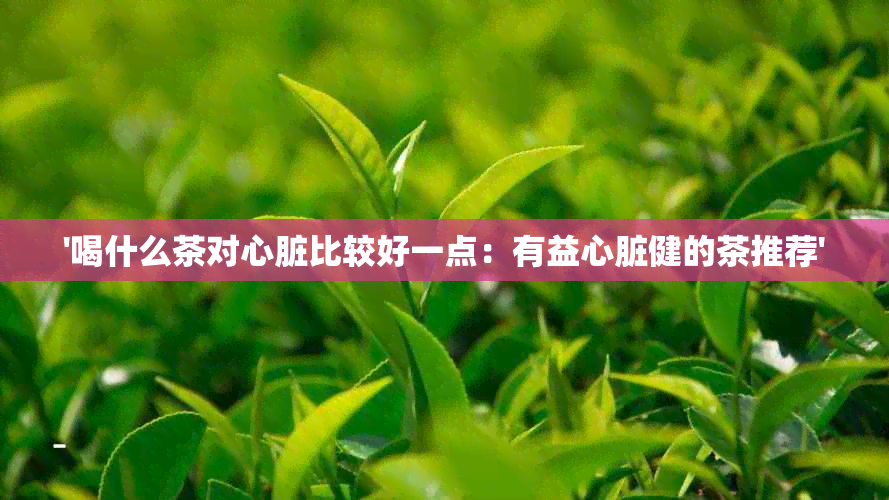 '喝什么茶对心脏比较好一点：有益心脏健的茶推荐'