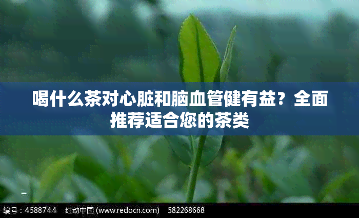 喝什么茶对心脏和脑血管健有益？全面推荐适合您的茶类