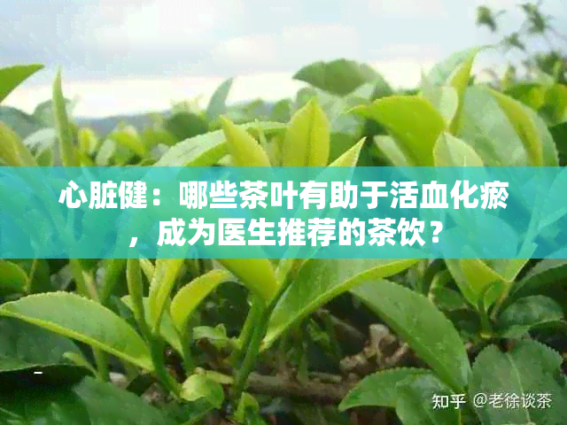 心脏健：哪些茶叶有助于活血化瘀，成为医生推荐的茶饮？