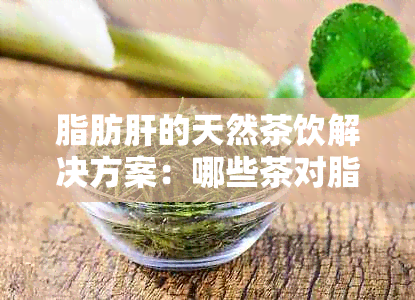 脂肪肝的天然茶饮解决方案：哪些茶对脂肪肝有益？