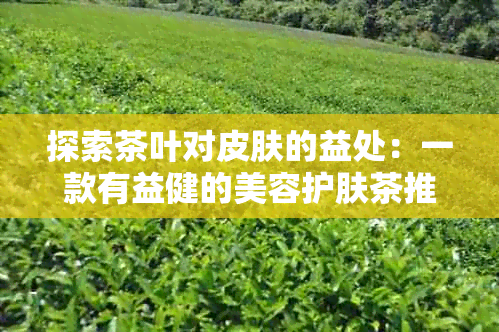 探索茶叶对皮肤的益处：一款有益健的美容护肤茶推荐