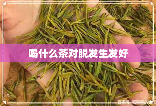 喝什么茶对脱发生发好