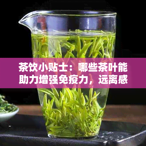 茶饮小贴士：哪些茶叶能助力增强免疫力，远离感冒？