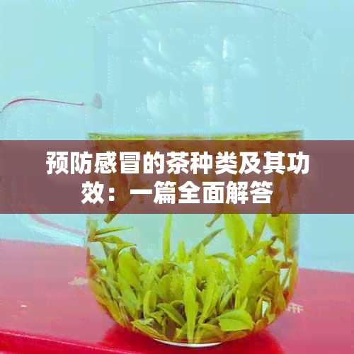 预防感冒的茶种类及其功效：一篇全面解答