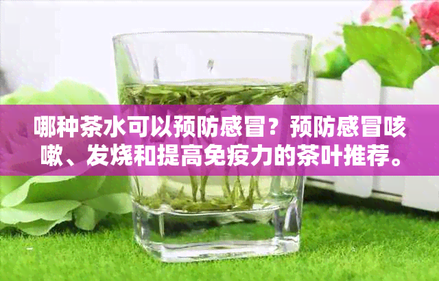 哪种茶水可以预防感冒？预防感冒咳嗽、发烧和提高免疫力的茶叶推荐。