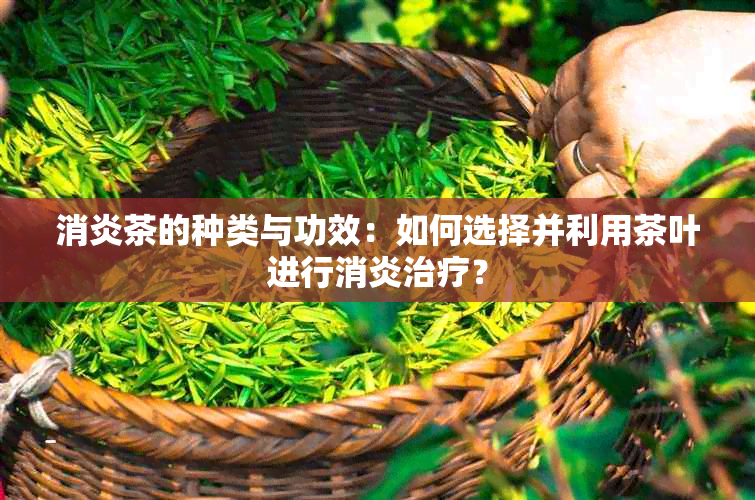 消炎茶的种类与功效：如何选择并利用茶叶进行消炎治疗？