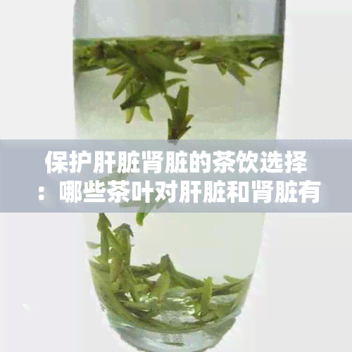 保护肝脏肾脏的茶饮选择：哪些茶叶对肝脏和肾脏有益？