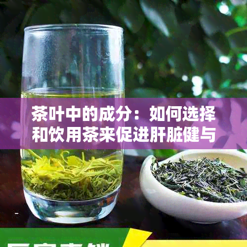 茶叶中的成分：如何选择和饮用茶来促进肝脏健与排