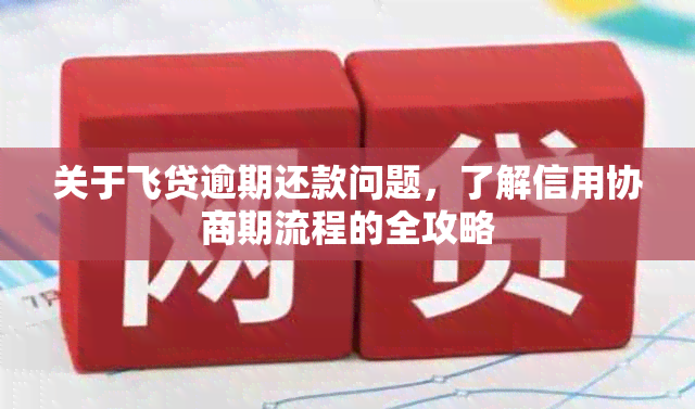 关于飞贷逾期还款问题，了解信用协商期流程的全攻略