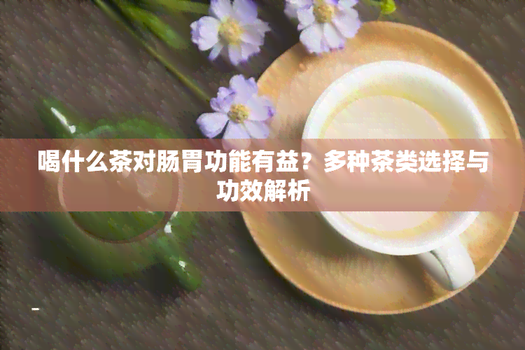 喝什么茶对肠胃功能有益？多种茶类选择与功效解析