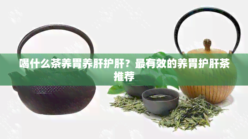 喝什么茶养胃养肝护肝？最有效的养胃护肝茶推荐