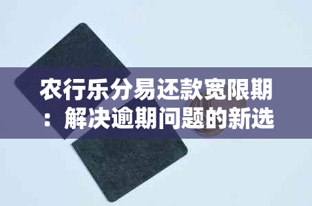 农行乐分易还款宽限期：解决逾期问题的新选择