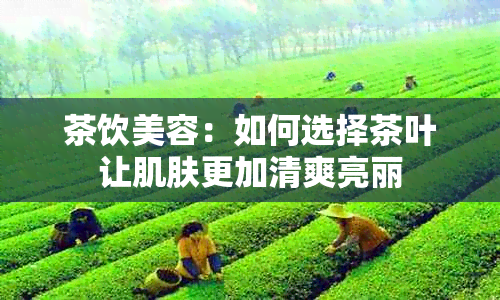 茶饮美容：如何选择茶叶让肌肤更加清爽亮丽