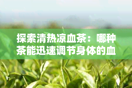 探索清热凉血茶：哪种茶能迅速调节身体的血热状况？