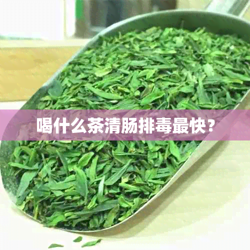 喝什么茶清肠排最快？