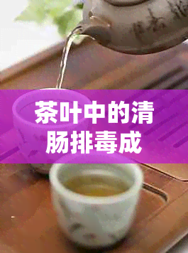 茶叶中的清肠排成分及其对健的影响