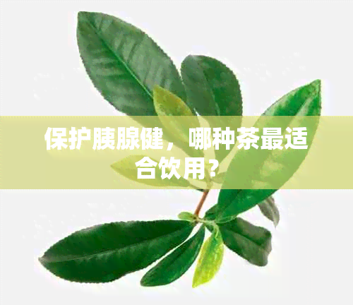 保护胰腺健，哪种茶最适合饮用？