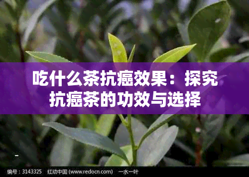 吃什么茶抗癌效果：探究抗癌茶的功效与选择