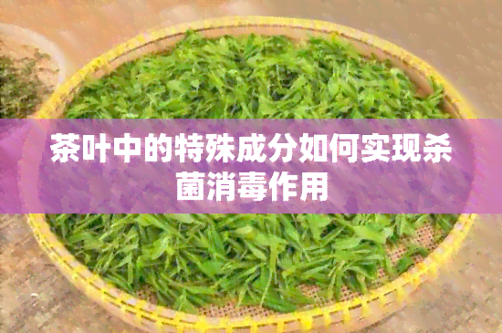 茶叶中的特殊成分如何实现杀菌消作用