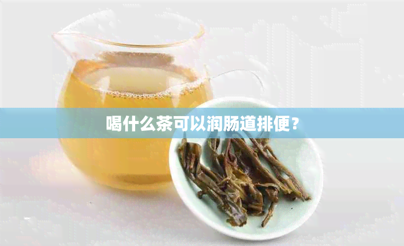 喝什么茶可以润肠道排便？