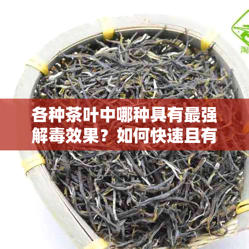 各种茶叶中哪种具有最强解效果？如何快速且有效地利用茶叶解？