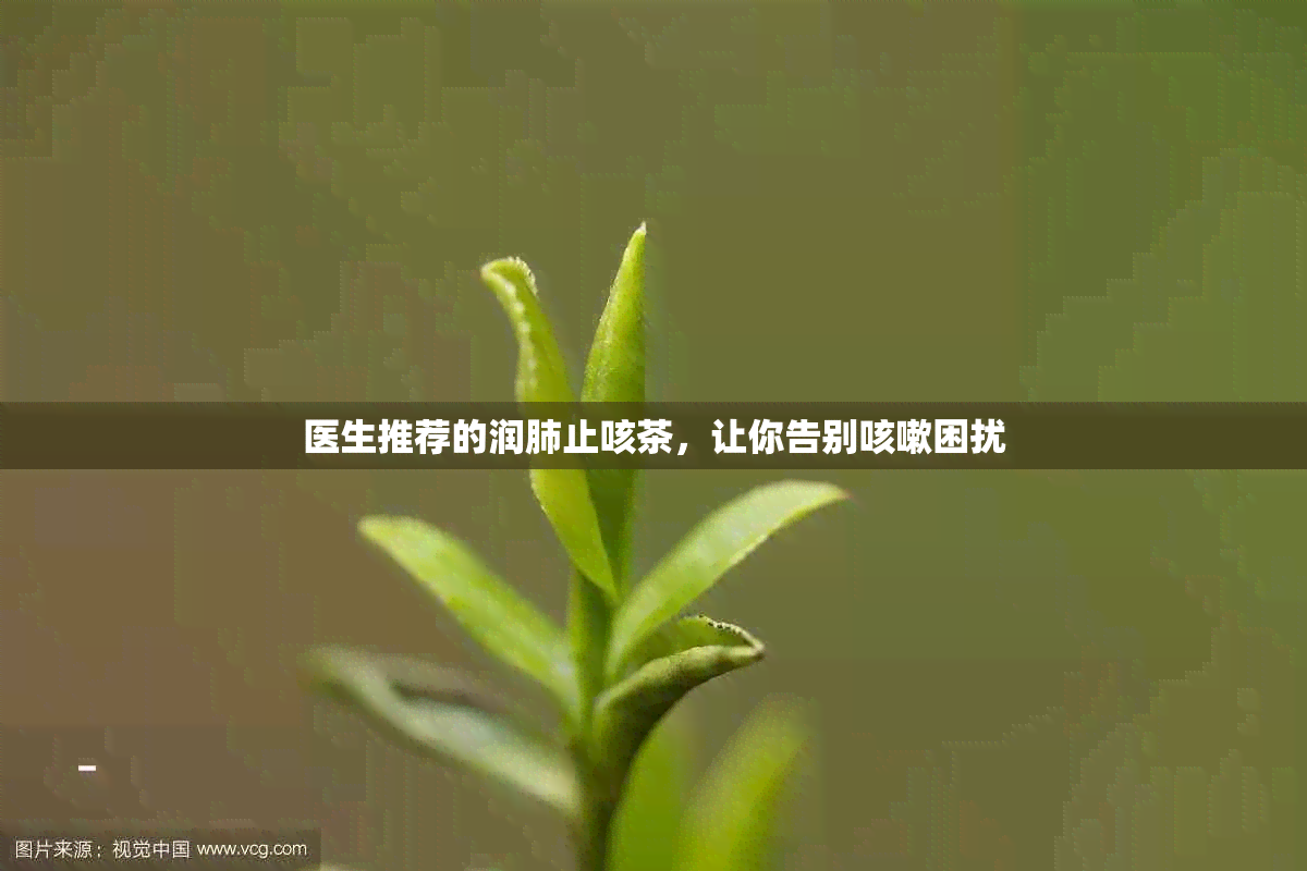 医生推荐的润肺止咳茶，让你告别咳嗽困扰