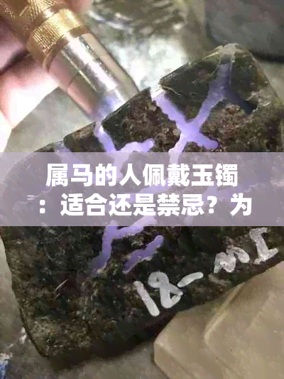 属马的人佩戴玉镯：适合还是禁忌？为什么选择翡翠手镯作为更佳选择