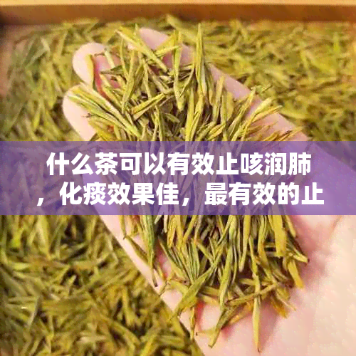 什么茶可以有效止咳润肺，化痰效果佳，最有效的止咳润肺茶推荐