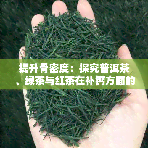 提升骨密度：探究普洱茶、绿茶与红茶在补钙方面的差异