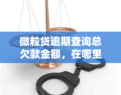 微粒贷逾期查询总欠款金额，在哪里和如何查看？