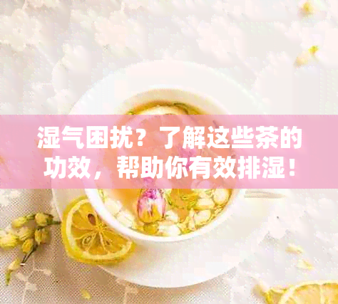 湿气困扰？了解这些茶的功效，帮助你有效排湿！