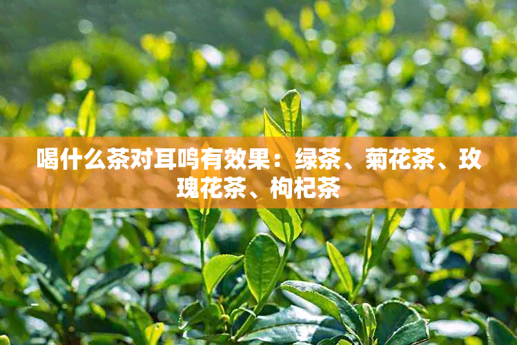 喝什么茶对耳鸣有效果：绿茶、菊花茶、玫瑰花茶、枸杞茶