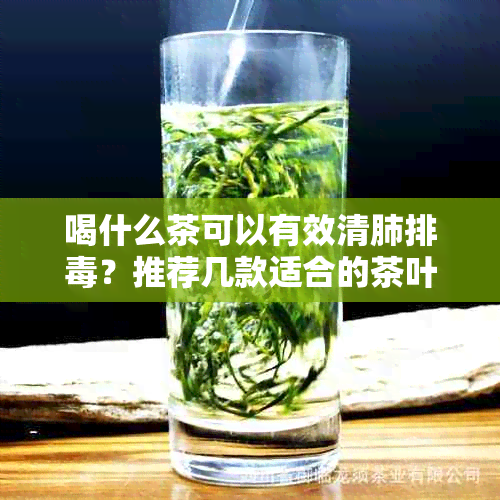 喝什么茶可以有效清肺排？推荐几款适合的茶叶及其功效