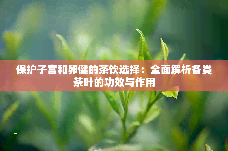 保护子宫和卵健的茶饮选择：全面解析各类茶叶的功效与作用