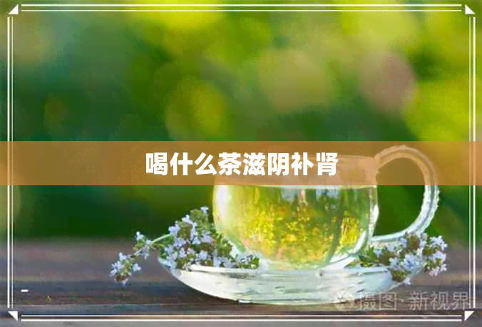 喝什么茶滋阴补肾