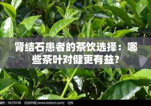 肾结石患者的茶饮选择：哪些茶叶对健更有益？