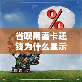 省呗用蓄卡还钱为什么显示暂不支持