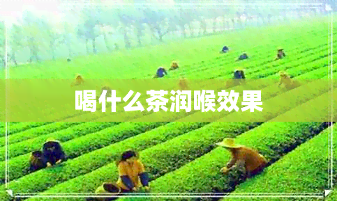 喝什么茶润喉效果