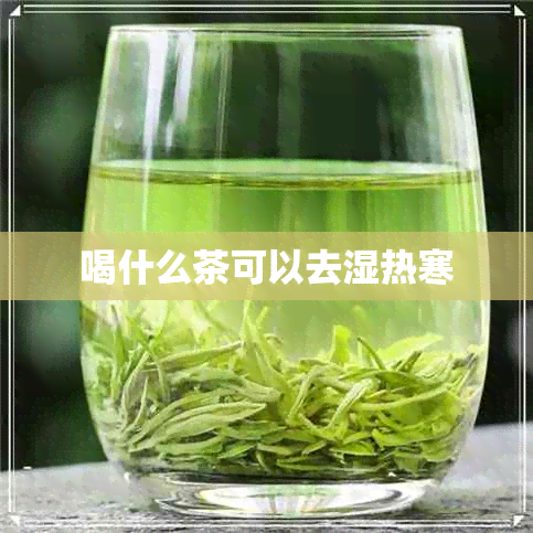 喝什么茶可以去湿热寒