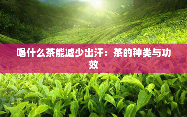 喝什么茶能减少出汗：茶的种类与功效