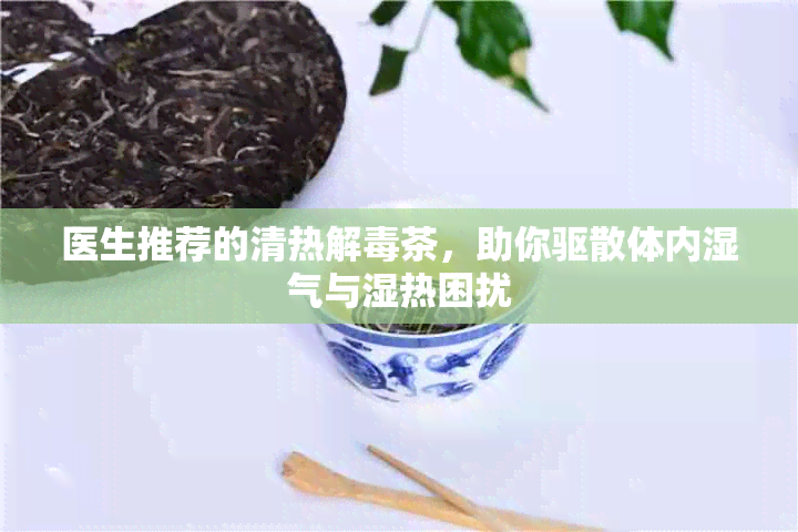 医生推荐的清热解茶，助你驱散体内湿气与湿热困扰