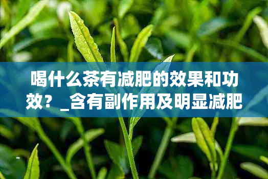 喝什么茶有减肥的效果和功效？_含有副作用及明显减肥效果的茶叶推荐