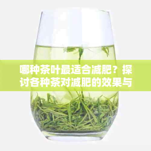 哪种茶叶最适合减肥？探讨各种茶对减肥的效果与优缺点