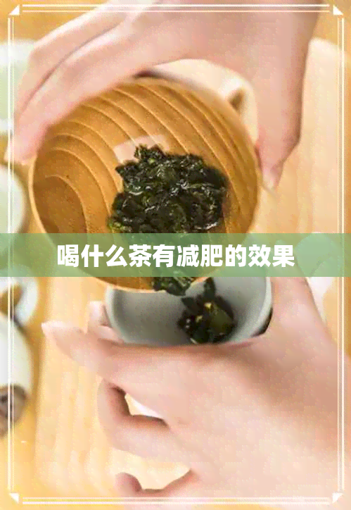 喝什么茶有减肥的效果