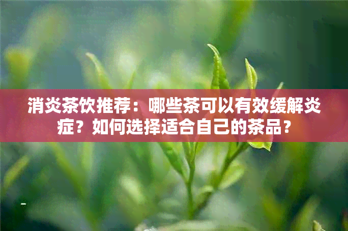 消炎茶饮推荐：哪些茶可以有效缓解炎症？如何选择适合自己的茶品？