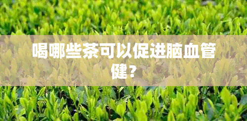 喝哪些茶可以促进脑血管健？